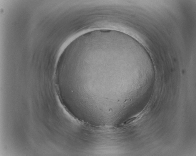 X0000067391536200604131919