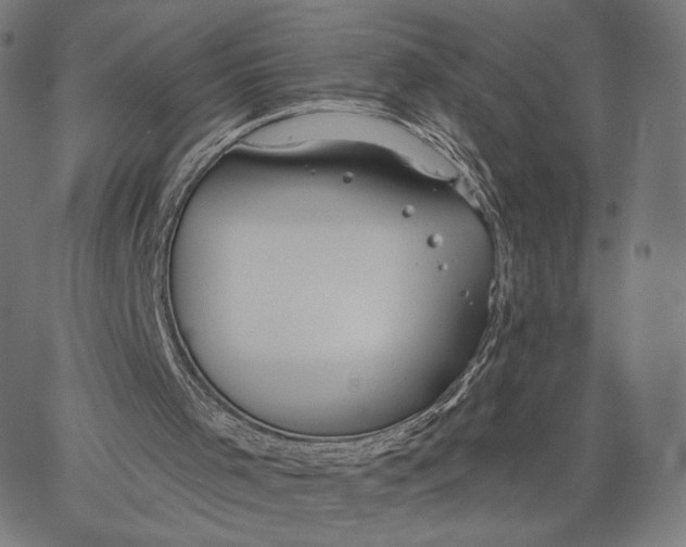 X0000067390001200604211645