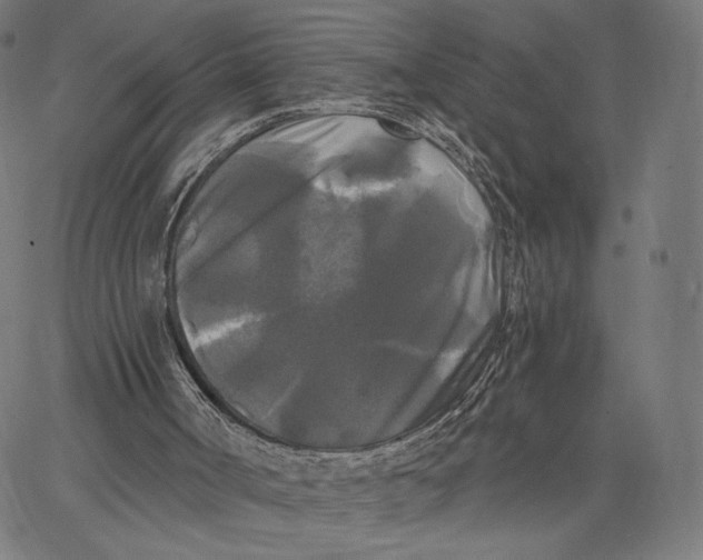 X0000067390002200604211645