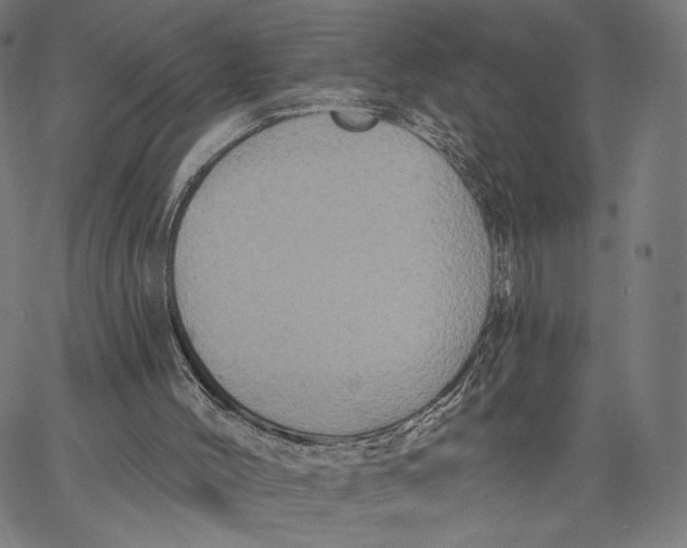 X0000067390004200604211645