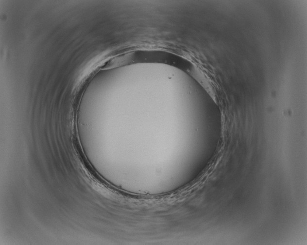 X0000067390005200604211645