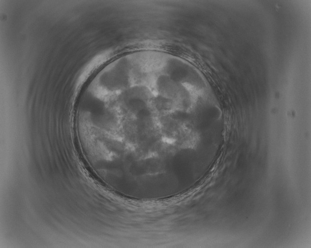 X0000067390006200604211645