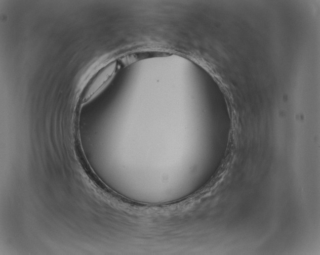 X0000067390007200604211645