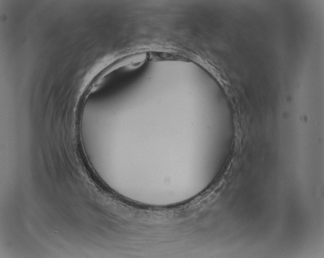 X0000067390008200604211645