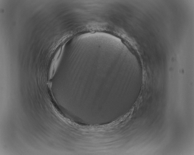 X0000067390009200604211645