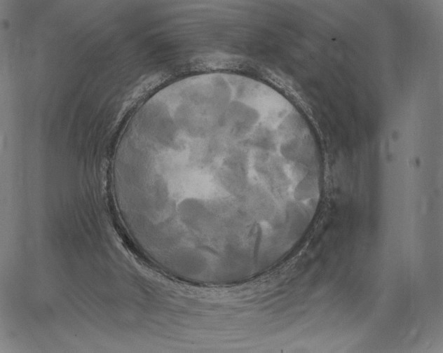 X0000067390010200604211645