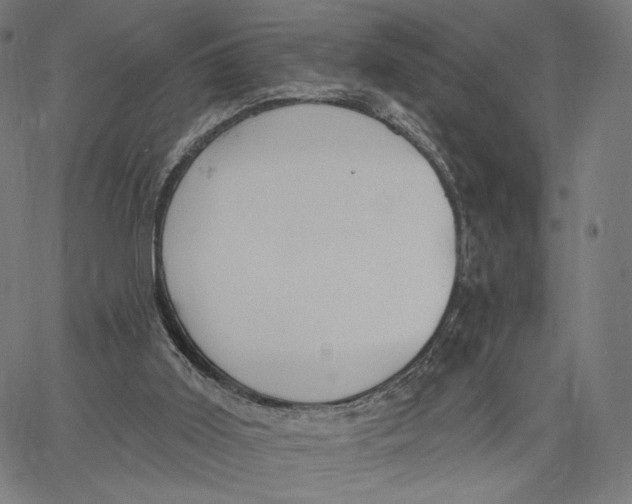 X0000067390011200604211645