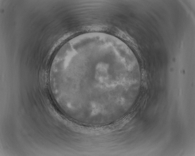 X0000067390012200604211645