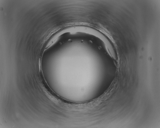 X0000067390013200604211645