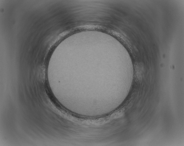 X0000067390016200604211645