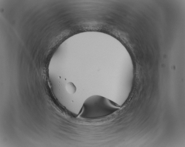 X0000067390017200604211645