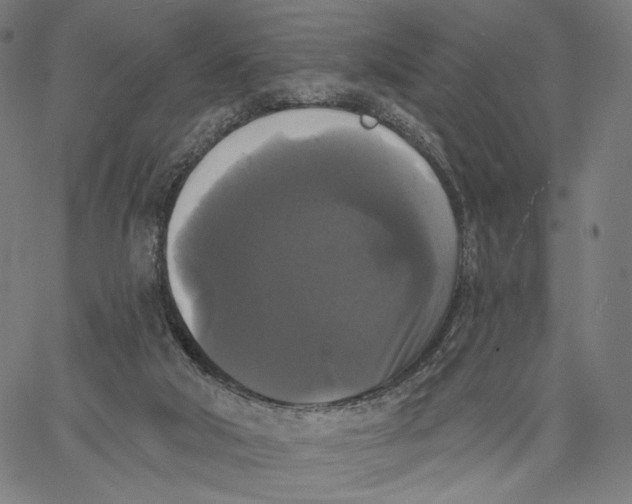 X0000067390018200604211645