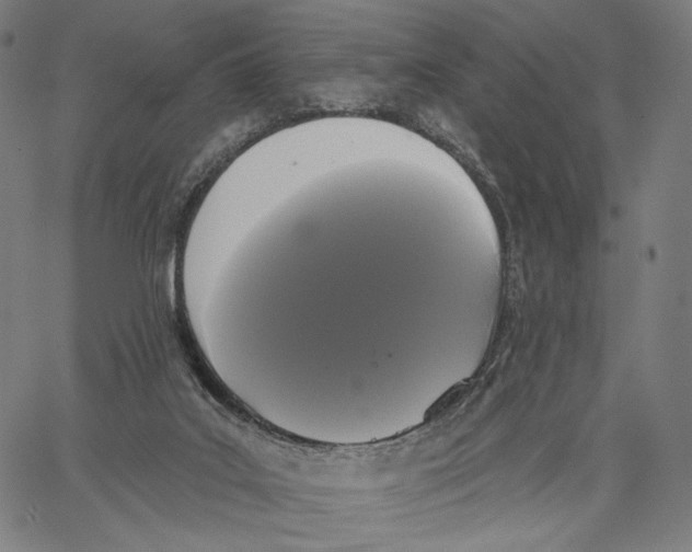 X0000067390019200604211645