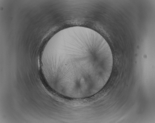 X0000067390020200604211645