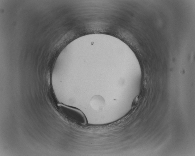 X0000067390021200604211645