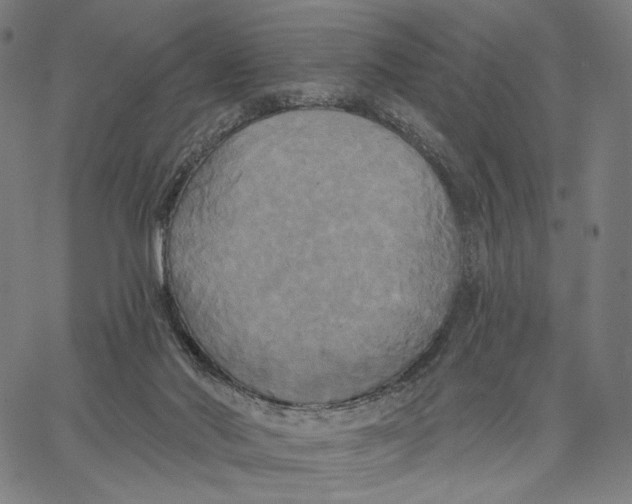 X0000067390022200604211645