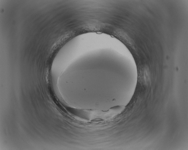 X0000067390023200604211645