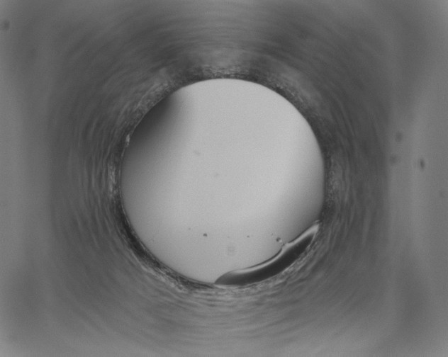 X0000067390025200604211645