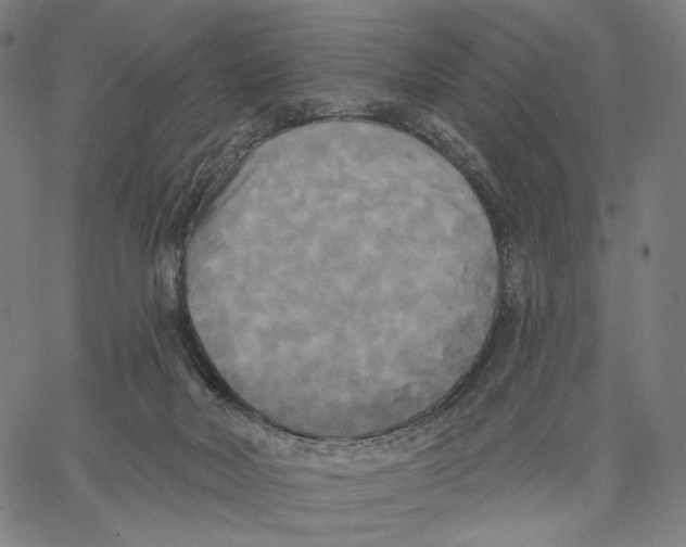 X0000067390026200604211645