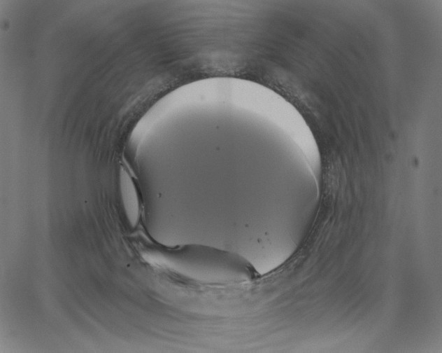 X0000067390027200604211645