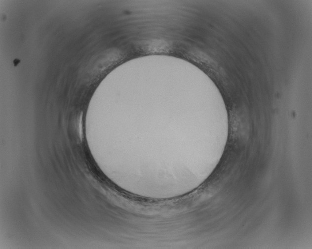 X0000067390028200604211645