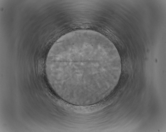 X0000067390030200604211645