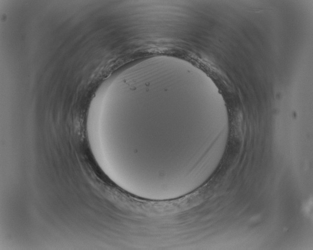 X0000067390031200604211645