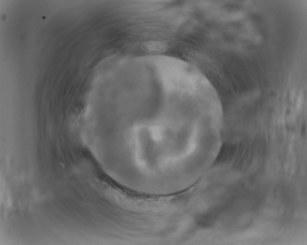 X0000067390032200604211645