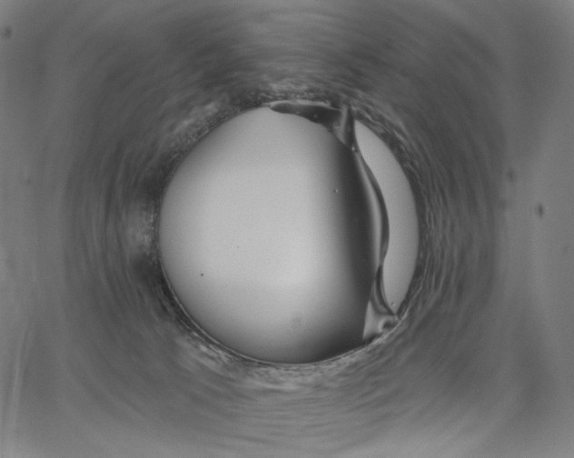 X0000067390033200604211645