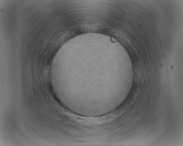 X0000067390034200604211645