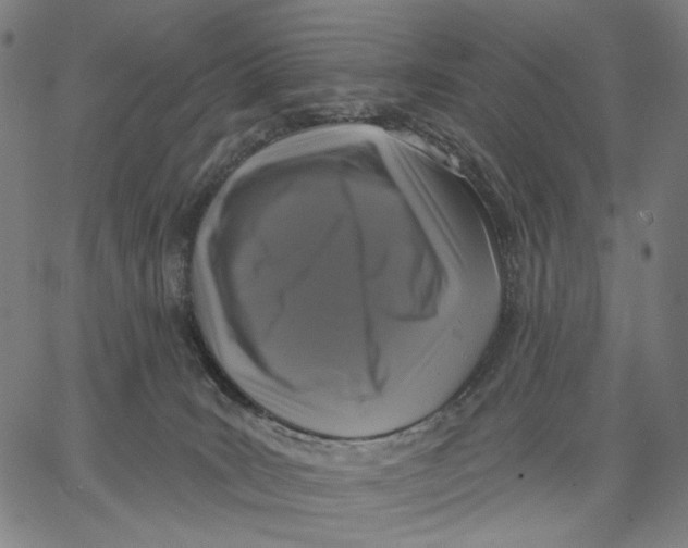 X0000067390035200604211645