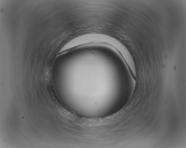 X0000067390037200604211645