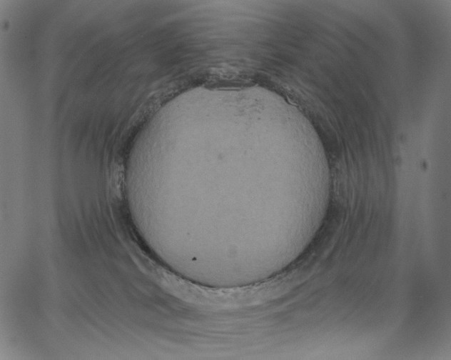 X0000067390038200604211645