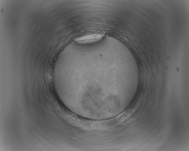 X0000067390040200604211645