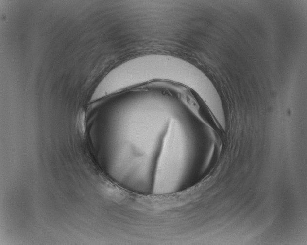 X0000067390041200604211645