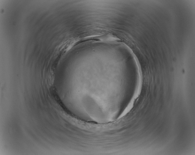 X0000067390043200604211644