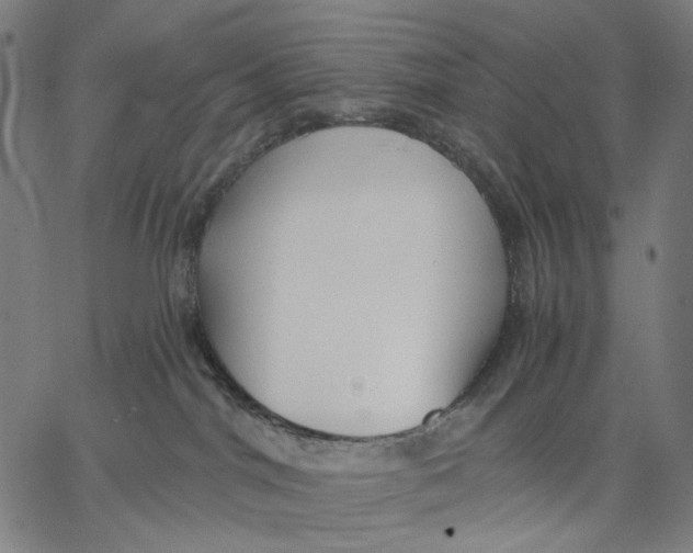 X0000067390044200604211644