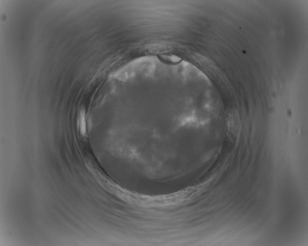 X0000067390046200604211644