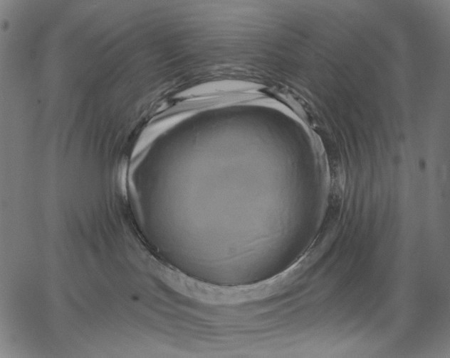 X0000067390047200604211644