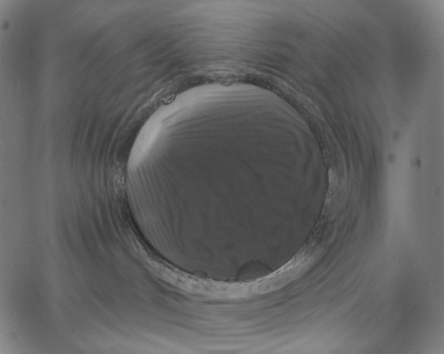 X0000067390048200604211644