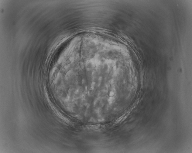 X0000067390049200604211644