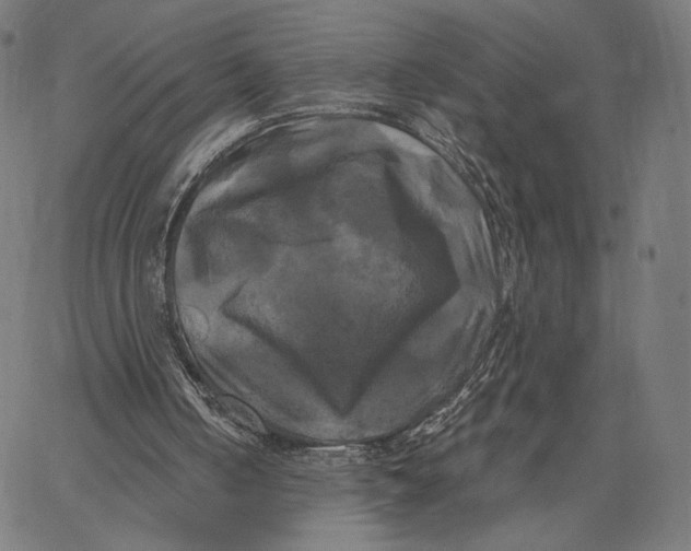 X0000067390050200604211644