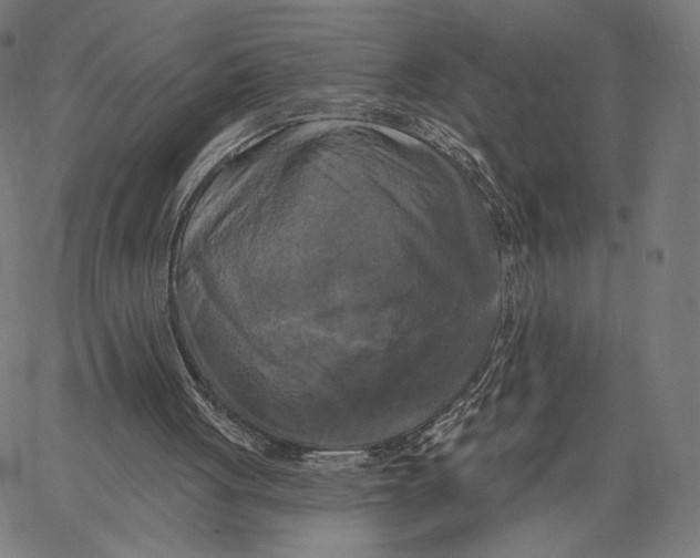 X0000067390051200604211644