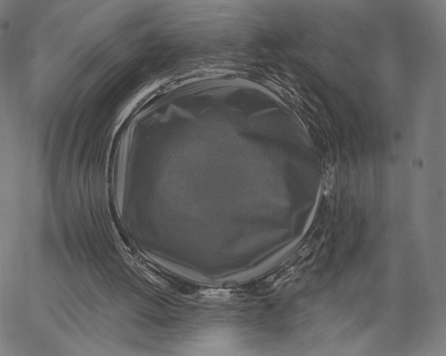 X0000067390052200604211644