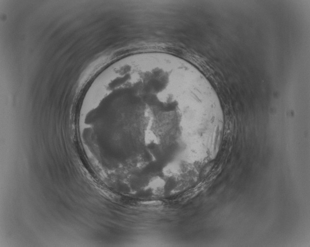 X0000067390053200604211644