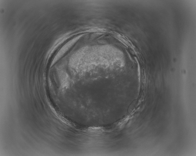 X0000067390055200604211644