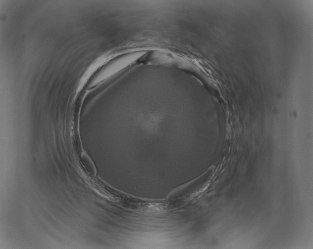 X0000067390056200604211644