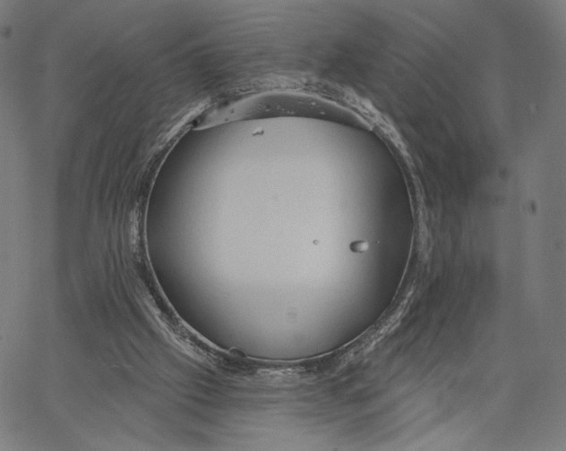 X0000067390057200604211644