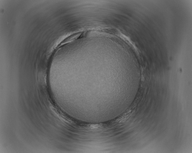 X0000067390060200604211644