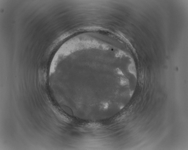 X0000067390063200604211644